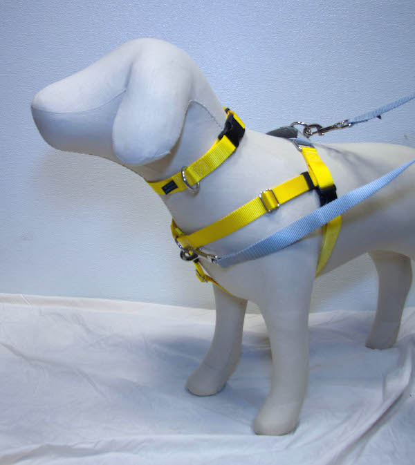 1" Freedom NoPull Harness Buy Direct from Harness Inventor